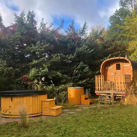 Szeroki Bor Oaza W Puszczy Z Sauna, Bania I Jacuzzi Exterior foto