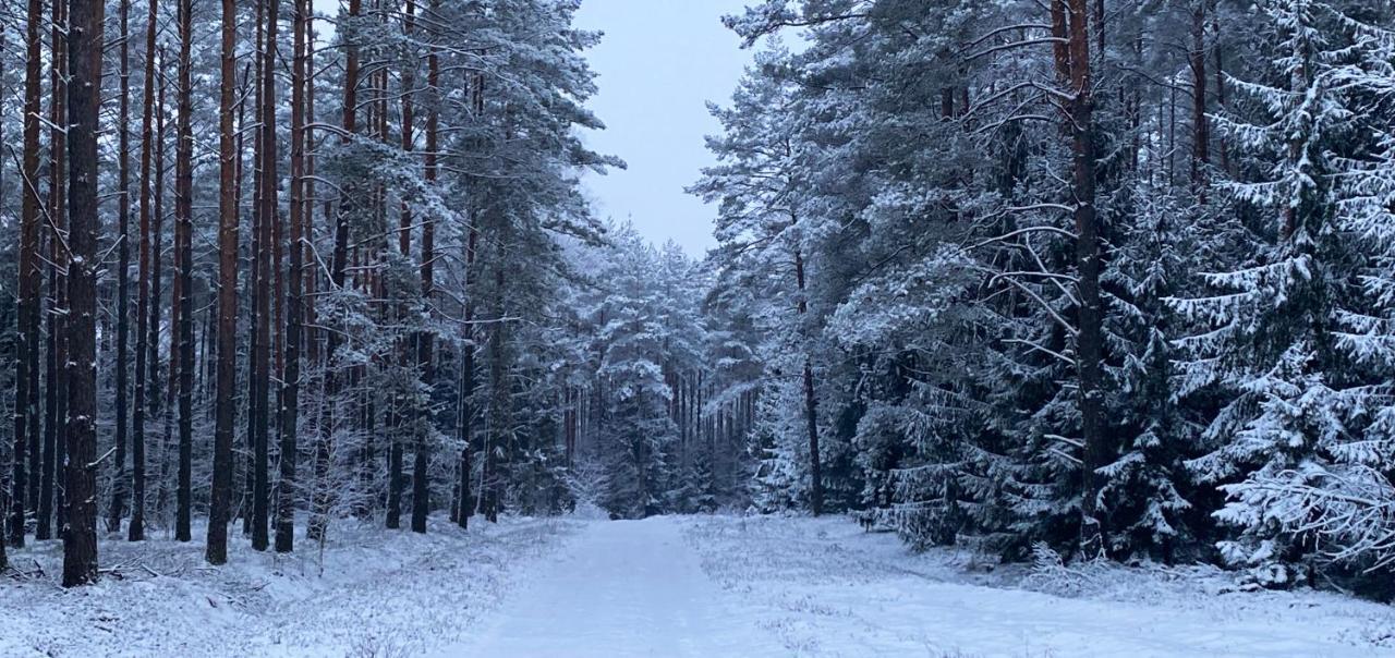 Szeroki Bor Oaza W Puszczy Z Sauna, Bania I Jacuzzi Exterior foto