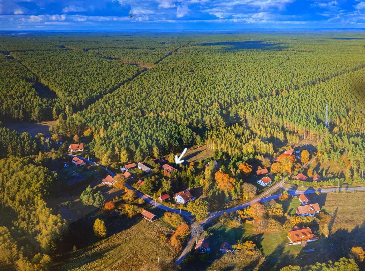 Szeroki Bor Oaza W Puszczy Z Sauna, Bania I Jacuzzi Exterior foto