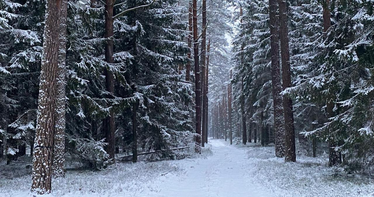 Szeroki Bor Oaza W Puszczy Z Sauna, Bania I Jacuzzi Exterior foto
