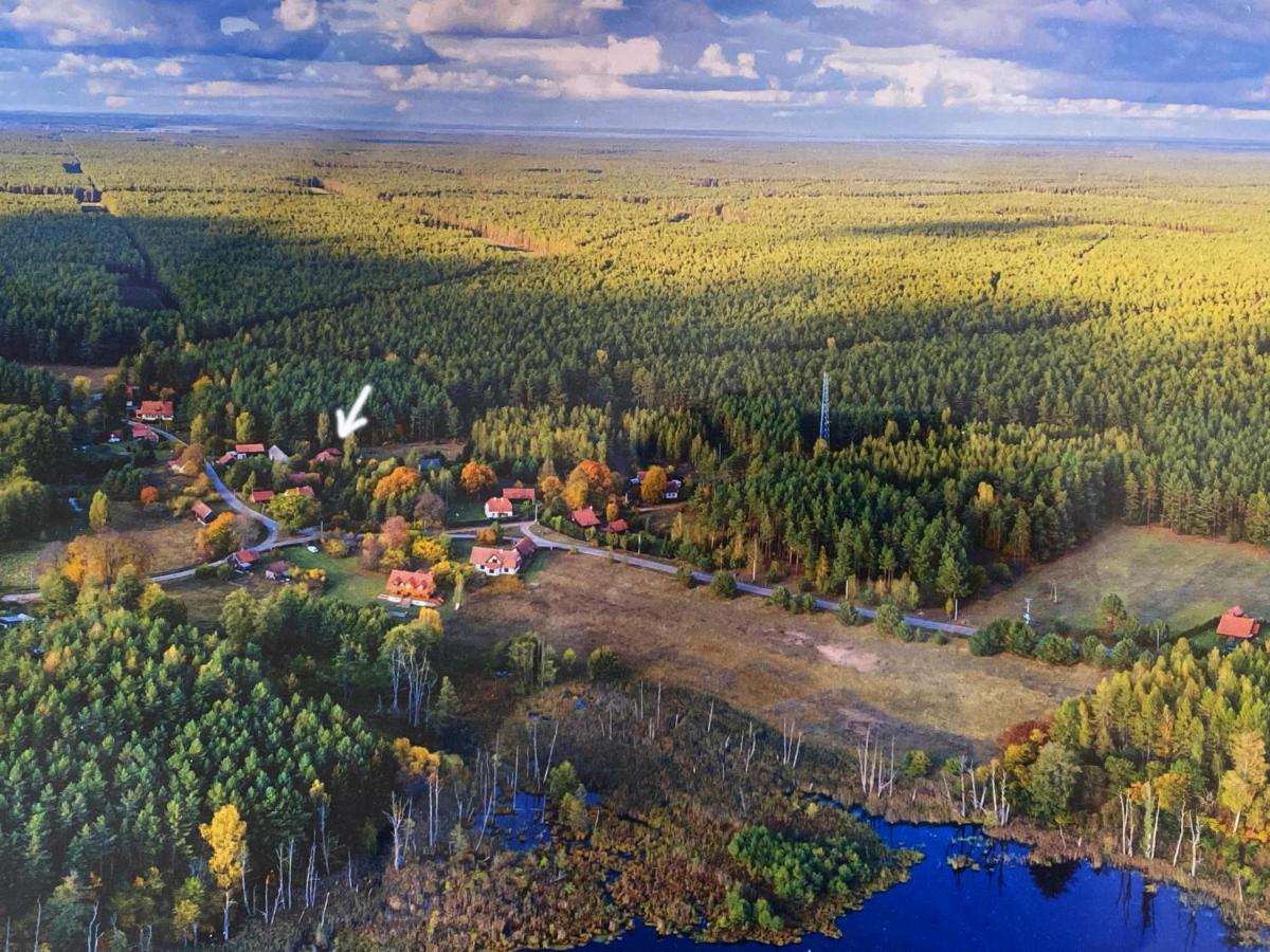 Szeroki Bor Oaza W Puszczy Z Sauna, Bania I Jacuzzi Exterior foto